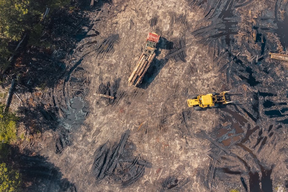 The Impact of Virtual Reality on Construction