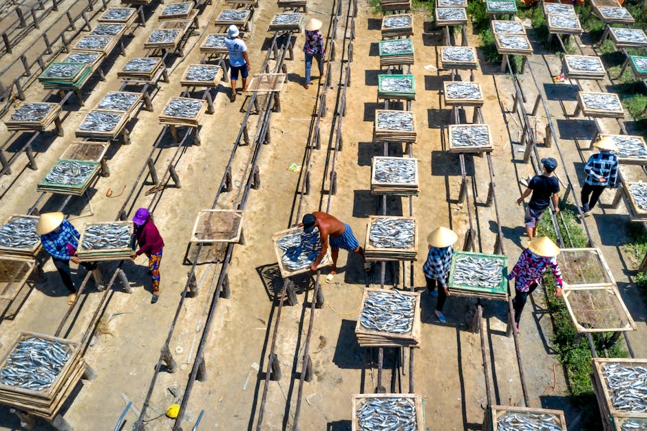 Sustainable Practices for Small-Scale Builders