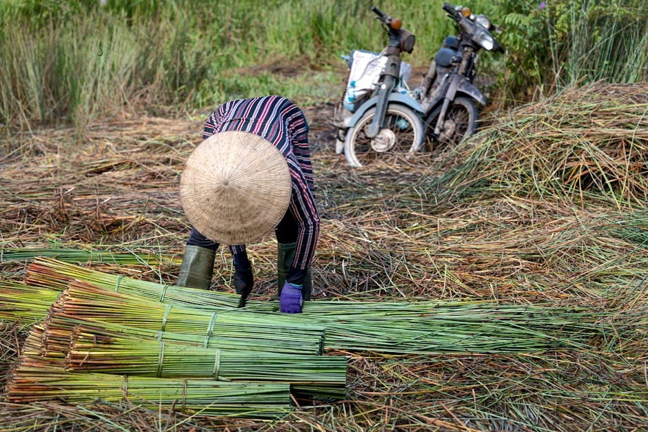 Sustainable Practices for Small-Scale Builders