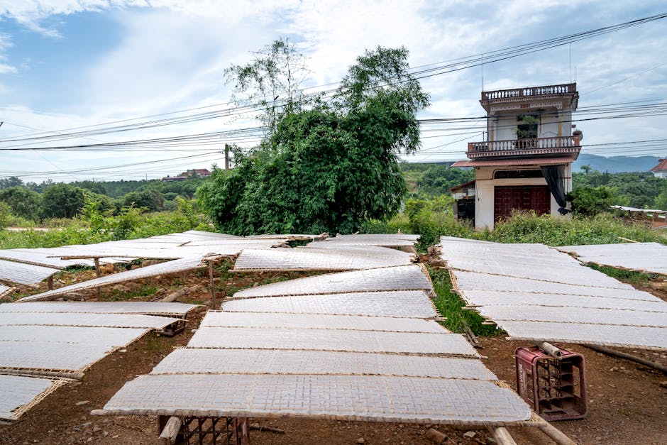 Sustainable Practices for Small-Scale Builders
